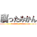 腐ったみかん (kusatta Mikan)