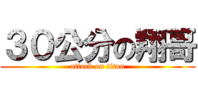 ３０公分の翔哥 (attack on titan)