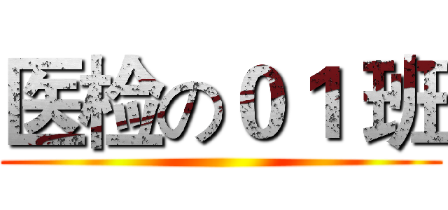医检の０１ 班 ()