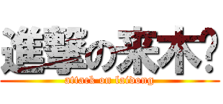 進撃の来木东 (attack on laidong)
