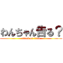 わんちゃん告る？ (attack on titan)