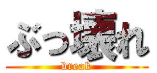 ぶっ壊れ (break)