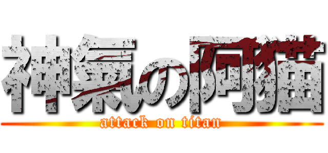 神氣の阿猫 (attack on titan)