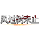 风过树未止 (wind &tree)