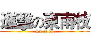 進擊の東南枝 (ace of hg)