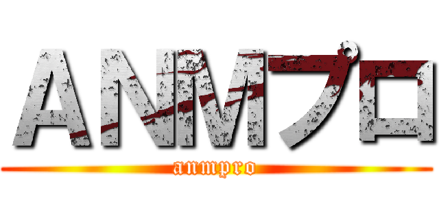 ＡＮＭプロ (anmpro)