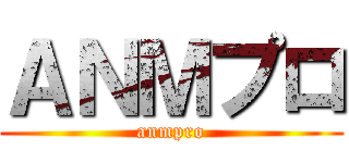 ＡＮＭプロ (anmpro)