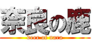 奈良の鹿 (deer of nara)