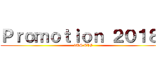 Ｐｒｏｍｏｔｉｏｎ ２０１８  (2TS CIG)