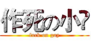 作死の小兲 (fuck on gay)