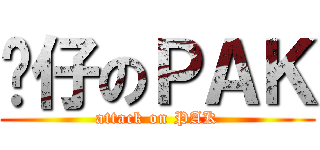 靚仔のＰＡＫ (attack on PAK)