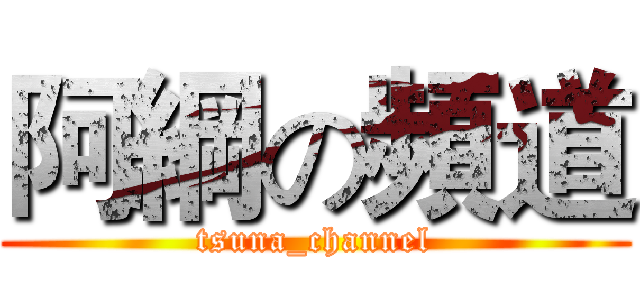 阿綱の頻道 (tsuna_channel)