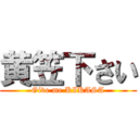 黄笠下さい (Give me KIKASA)