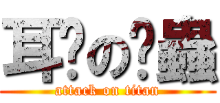 耳朵の蛀蟲 (attack on titan)