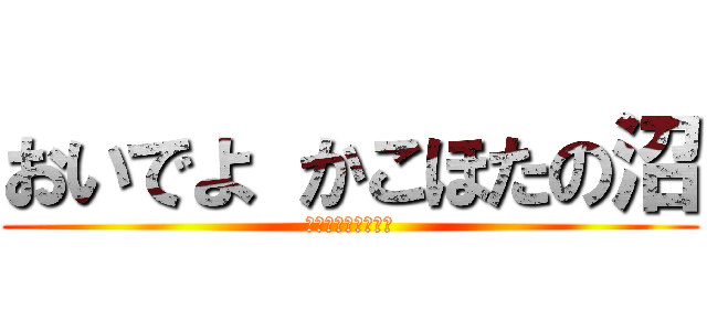 おいでよ かこほたの沼 (ミス・フォーチュン)