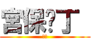 宮保雞丁  (好吃)