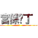 宮保雞丁  (好吃)