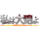 私は大砲よ (OBANGA)