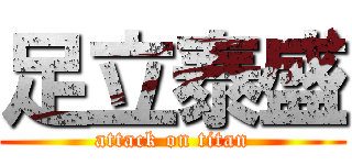 足立泰盛 (attack on titan)