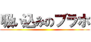 吸い込みのブラホ ()