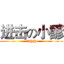 进击の小諺 (帥氣@@)