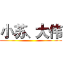 小苏、大伟 ()