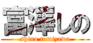 富澤しの (shino tomizawa)