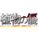 植物の優 (優三小)