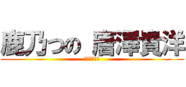 鹿乃つの 唐澤貴洋 (結婚しました)