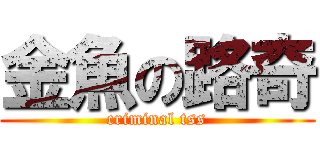 金魚の路奇 (criminal tss)