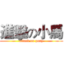 進擊の小馬 (attack on pony)