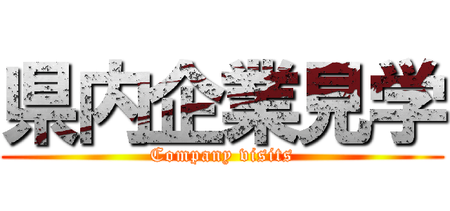 県内企業見学 (Company visits)