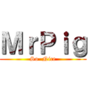 ＭｒＰｉｇ (So  Nice)