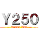 Ｙ２５０ (Trump Win)