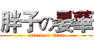 胖子の晏華 (attack on titan)