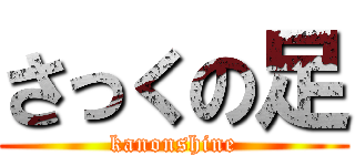 さっくの足 (kanonshine)