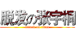 脱发の张宇桐 (attack on titan)