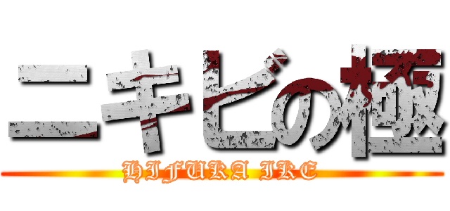 ニキビの極 (HIFUKA IKE)