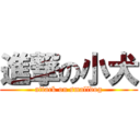 進撃の小犬 (attack on smalldog)