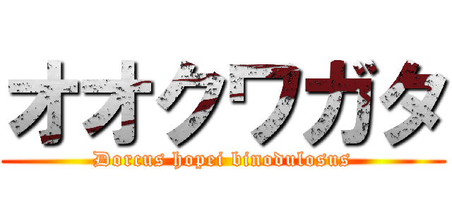 オオクワガタ (Dorcus hopei binodulosus)