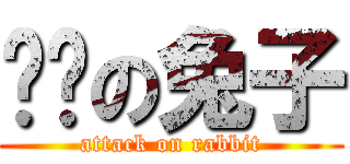 进击の兔子 (attack on rabbit)