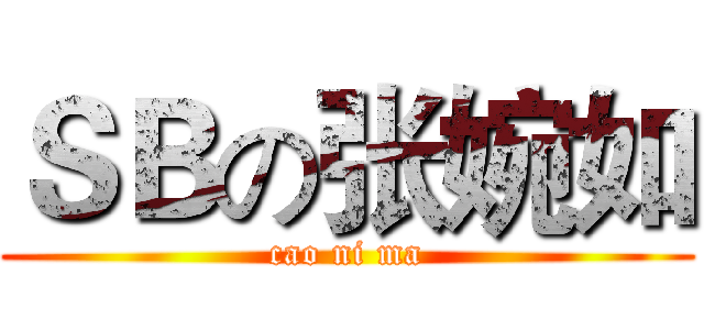 ＳＢの张婉如 (cao ni ma)