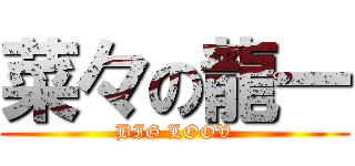 菜々の龍一 (BIG LOOV)