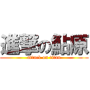 進撃の鮎原 (attack on titan)