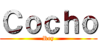 Ｃｏｃｈｏ (Rey)