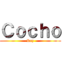 Ｃｏｃｈｏ (Rey)