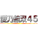 愛乃無双４５ ()