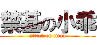 禁基の小乖 (attack on titan)