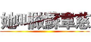 她叫做蘇韋慈 ()