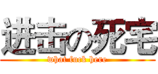 进击の死宅 (what fuck here)